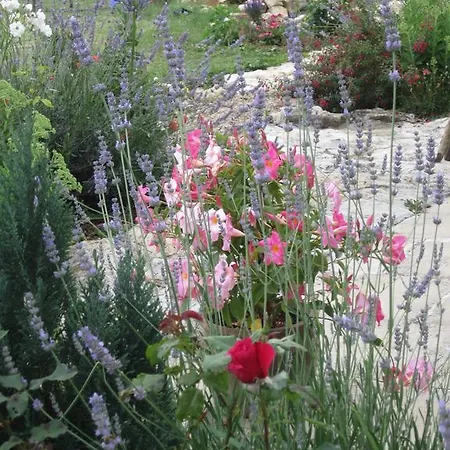 Bed & Breakfast Alouette Nanteuil-en-Vallée