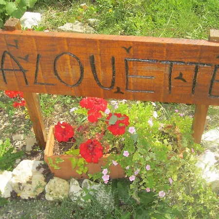 Bed & Breakfast Alouette *
