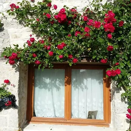Alouette *